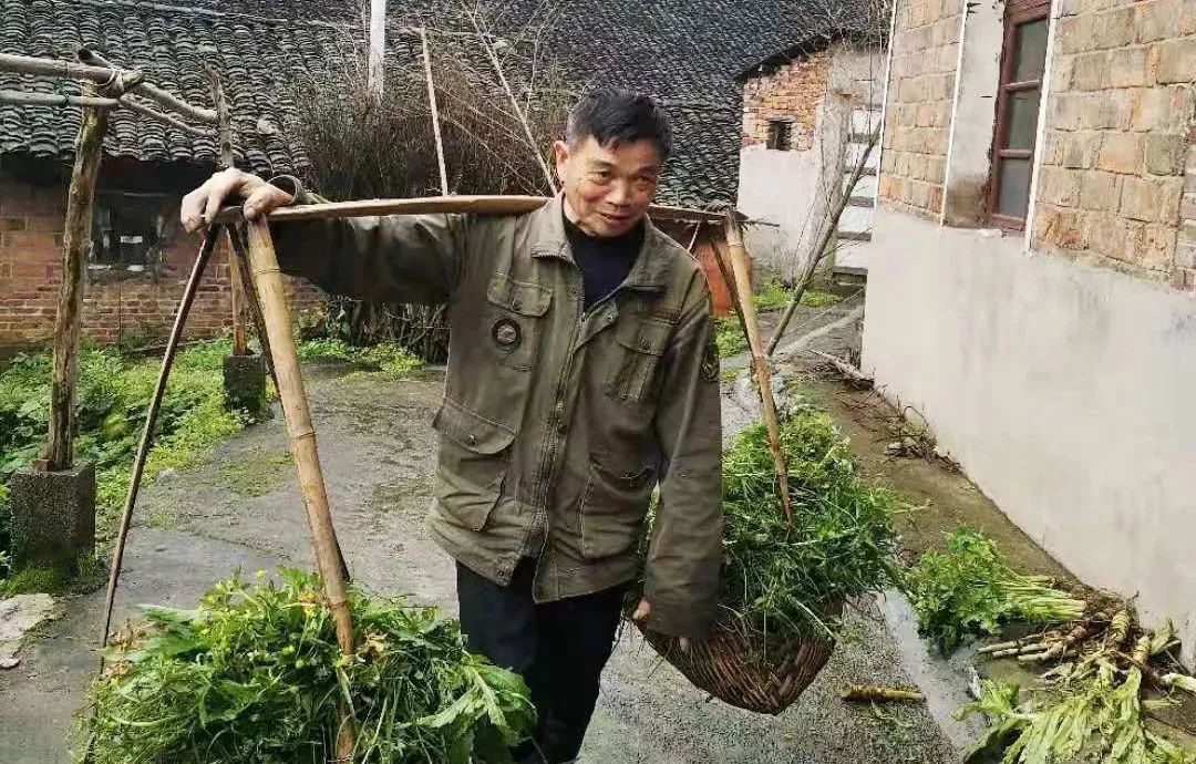 DƬ